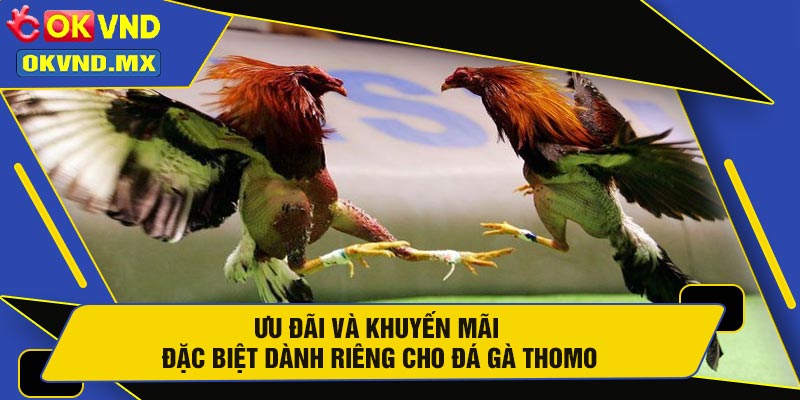 Ưu Đãi Và Khuyến Mãi Đặc Biệt Dành Riêng Cho  Đá Gà Thomo